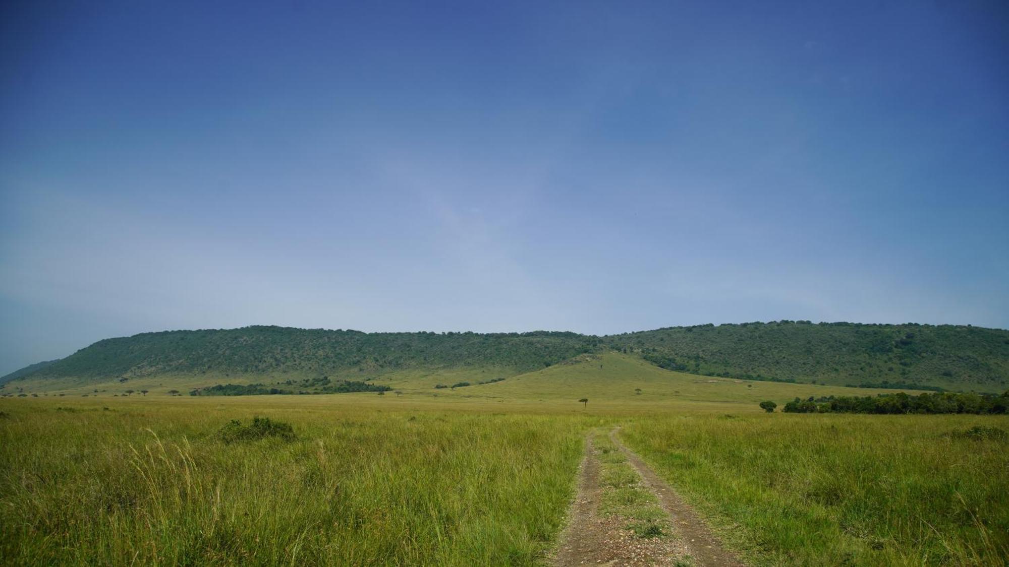 Mara Elatia Camp Villa Maasai Mara Bagian luar foto